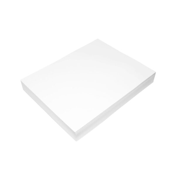 Epson F170 Sublimation Paper